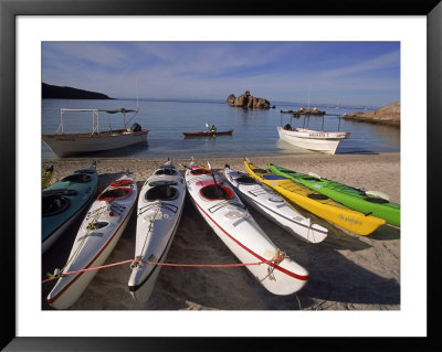 Sea Kayaking, Sea Of Cortez, Baja Ca, Mexico by Yvette Cardozo Pricing Limited Edition Print image