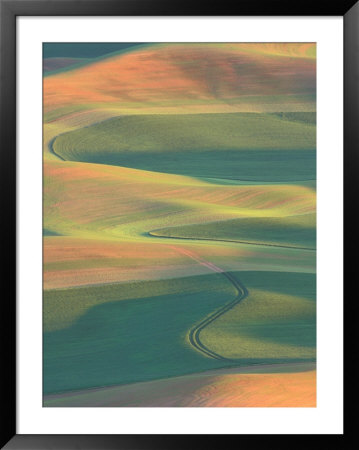 Palouse Farmland, View From Steptoe Butte, Whitman County, Washington, Usa by Jamie & Judy Wild Pricing Limited Edition Print image