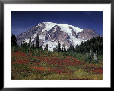 Mt. Rainier View From Paradise, Mt. Rainier National Park, Washington, Usa by Jamie & Judy Wild Pricing Limited Edition Print image