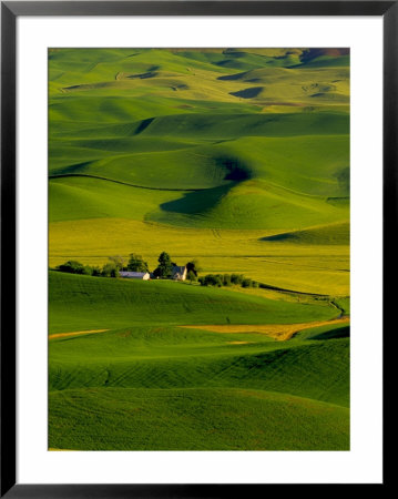 Rolling Green Hills Of Spring Crops, Palouse, Washington, Usa by Terry Eggers Pricing Limited Edition Print image