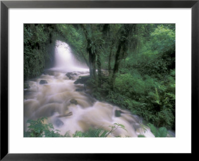 Cascade And Cloud Rainforest, Machu Picchu, Peru by Andres Morya Pricing Limited Edition Print image
