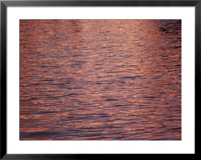 A Bright Pink Sunrise Reflects On The Rippling Water In Florida by Stacy Gold Pricing Limited Edition Print image