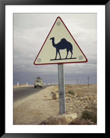 Beware Of Camels Sign Along An Algerian Highway by Thomas J. Abercrombie Pricing Limited Edition Print image