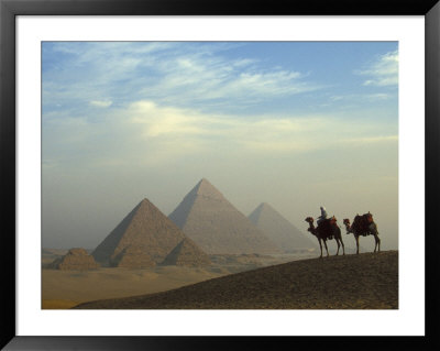 Camels And Driver At The Pyramids Complex, Egypt by Claudia Adams Pricing Limited Edition Print image