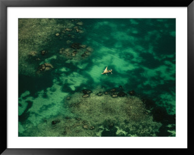 Aerial View Of Outrigger Canoe With Sail In Clear Kenyan Waters by Bobby Haas Pricing Limited Edition Print image