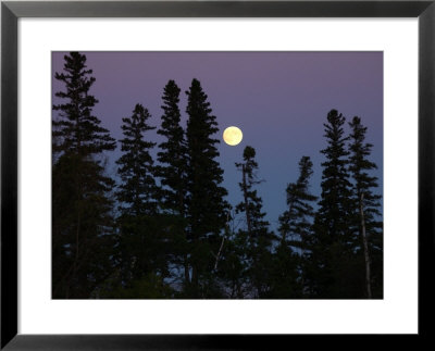 Vegetation And Moon, Lake Scenes by Keith Levit Pricing Limited Edition Print image