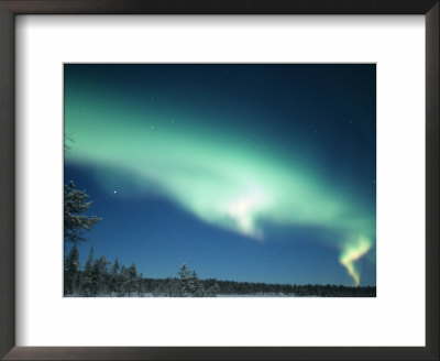 The Aurora Borealis, Lapland, Finland by Daisy Gilardini Pricing Limited Edition Print image