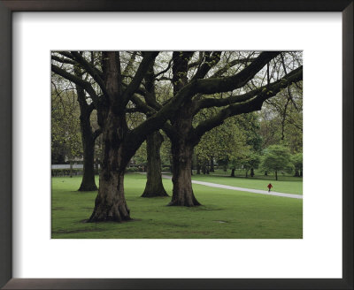 Child Strolls Along A Path In Londons Hyde Park by Karen Kasmauski Pricing Limited Edition Print image