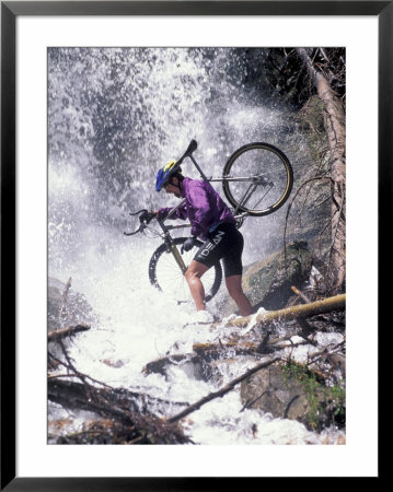 Mountain Biking, Vail, Colorado, Usa by Lee Kopfler Pricing Limited Edition Print image