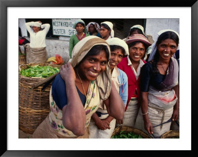 Tea Pickers Outside Factory, Uva, Sri Lanka by Dallas Stribley Pricing Limited Edition Print image