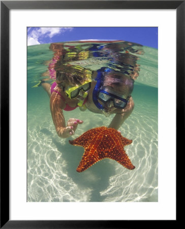 Snorkeling In The Blue Waters Of The Bahamas by Greg Johnston Pricing Limited Edition Print image