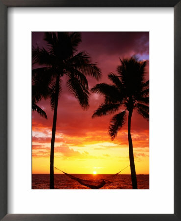 Hammock On Beach At Sunset, Fiji by David Wall Pricing Limited Edition Print image