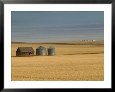 Grain Barn On Wheat Farm In Rosebud, Alberta, Canada by Walter Bibikow Pricing Limited Edition Print image