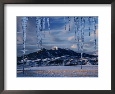 Icicles Hanging In Front Of Mountain, Bridger Mountains, Gallatin Valley, Usa by Carol Polich Pricing Limited Edition Print image