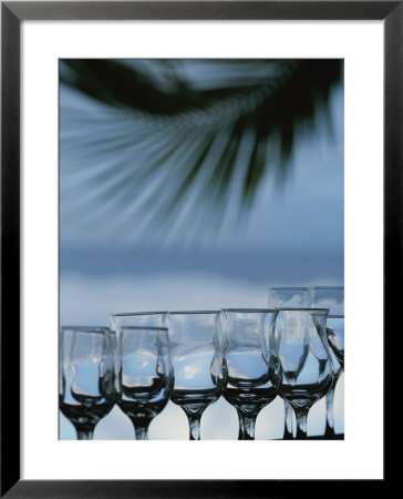 Wine Glasses Hang In Line Above An Abstraction Of A Palm Frond by Michael Melford Pricing Limited Edition Print image