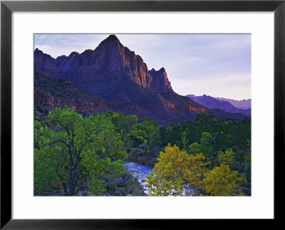The Watchman Peak And The Virgin River, Zion National Park, Utah, Usa by Dennis Flaherty Pricing Limited Edition Print image