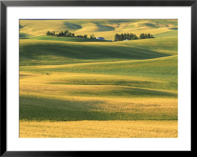 Farm With Wheat Fields, Whitman County, Wa by Mark Windom Pricing Limited Edition Print image
