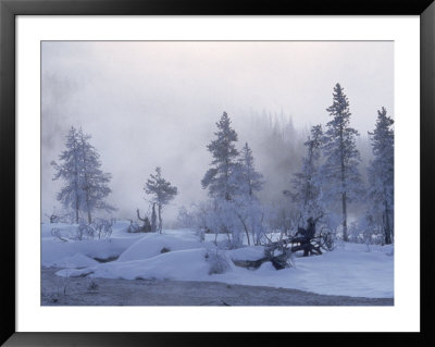 Winter In Yellowstone National Park, Wy by Charlie Borland Pricing Limited Edition Print image