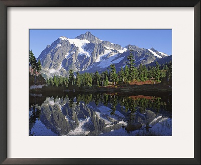 Mt. Shuksan In The Fall With Red Blueberry Bushes, North Cascades National Park, Washington, Usa by Charles Sleicher Pricing Limited Edition Print image