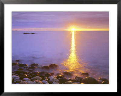 Sunrise On Fog And Shore Rocks On The Atlantic Ocean, Acadia National Park, Maine, Usa by Christopher Talbot Frank Pricing Limited Edition Print image