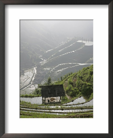 Longsheng Terraced Ricefields, Guangxi Province, China by Angelo Cavalli Pricing Limited Edition Print image