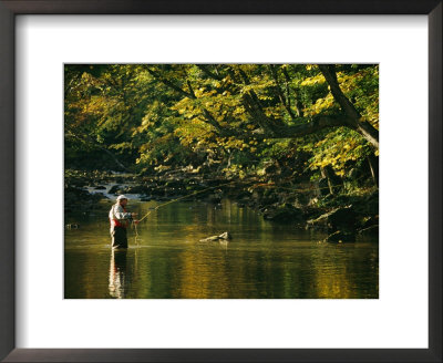 Fly Fisherman Casts His Line Into The Elk River by Skip Brown Pricing Limited Edition Print image