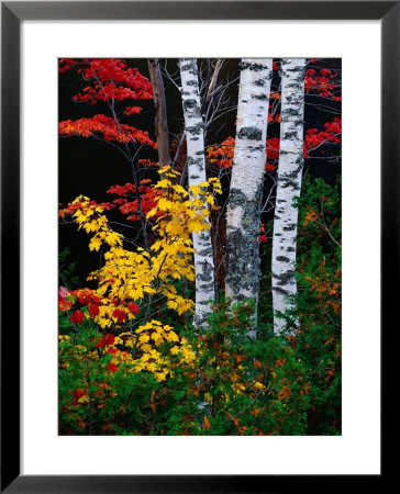 Fall Color, Old Forge Area, Adirondack Mountains, Ny by Jim Schwabel Pricing Limited Edition Print image