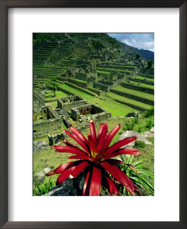 Stone Ruins, Machu Picchu, Peru by Jacob Halaska Pricing Limited Edition Print image