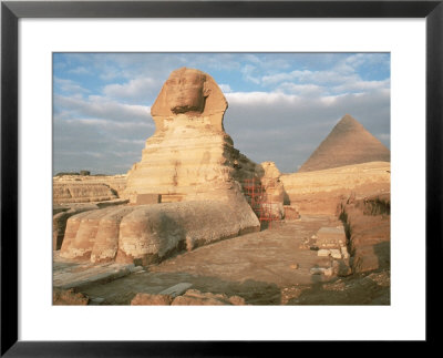 The Sphinx, Egypt by Timothy O'keefe Pricing Limited Edition Print image