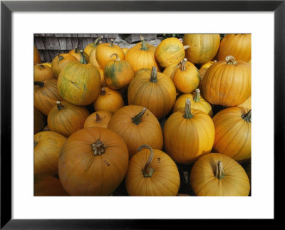 A Pile Of Pumpkins by Bill Curtsinger Pricing Limited Edition Print image