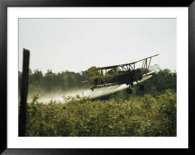 A Crop Dusting Airplane Flys Low Over A Field To Drop Pesticide by Bill Curtsinger Pricing Limited Edition Print image