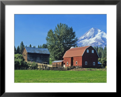 Red Barn In The Hood Valley, Mt Hood, Oregon, Usa by Chuck Haney Pricing Limited Edition Print image
