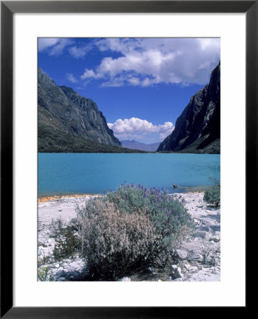 Huarez Park, Peru by Ed Hernandez Pricing Limited Edition Print image