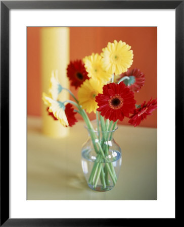 Red And Yellow Gerbera Daisies by Casey Mcnamara Pricing Limited Edition Print image