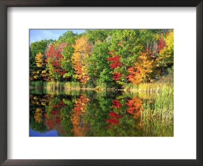 Fall Reflections, Sherman Lake, Me by Barry Slaven Pricing Limited Edition Print image