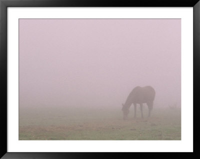 Horses In Fog by Preston Lyon Pricing Limited Edition Print image