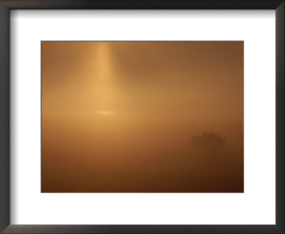 A Golden Sunrise Through Mist by Mattias Klum Pricing Limited Edition Print image