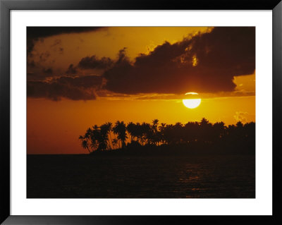 Silhouetted Palm Trees And Sun Behind Clouds At Twilight by Tim Laman Pricing Limited Edition Print image