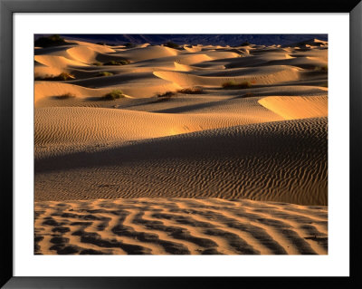 Mesquite Flat Sand Dunes, Death Valley National Park, Usa by Cheryl Conlon Pricing Limited Edition Print image