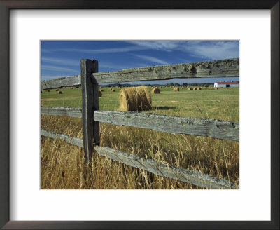 Rolls Of Hay Fill A Farmers Field by Raymond Gehman Pricing Limited Edition Print image