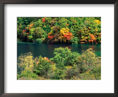 Autumn Foliage On Trees Around Lake, Jiuzhai Gou, China by Keren Su Pricing Limited Edition Print image