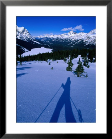 Shadow Of A Cross Country Skier On Snow, Banff, Canada by Philip Smith Pricing Limited Edition Print image