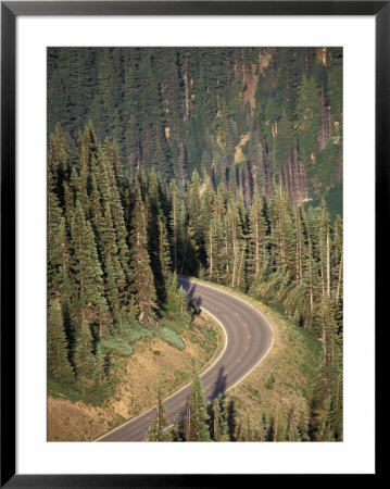 View Of Road Near Hurricane Ridge, Olympic Peninsula, Washington, Usa by Stuart Westmoreland Pricing Limited Edition Print image