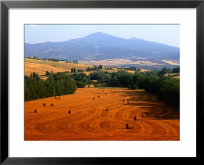 Hay Field With Monte Amiata Behind, Near Pienza, Tuscany, Italy by David Tomlinson Pricing Limited Edition Print image
