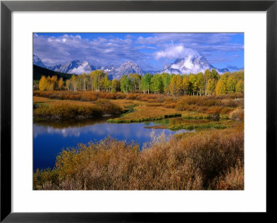 Trees And Lake During Autumn With Mt. Moran In Distance, Grand Teton National Park, Usa by Carol Polich Pricing Limited Edition Print image