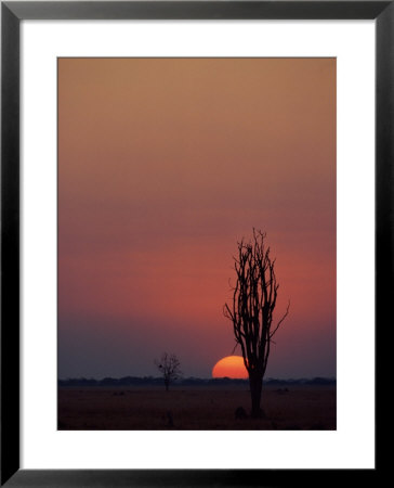 Sunset Over The African Plain by Beverly Joubert Pricing Limited Edition Print image