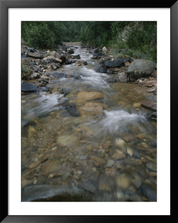 Eureka Creek Rushes Over A Rock-Strewn Bed by Rich Reid Pricing Limited Edition Print image