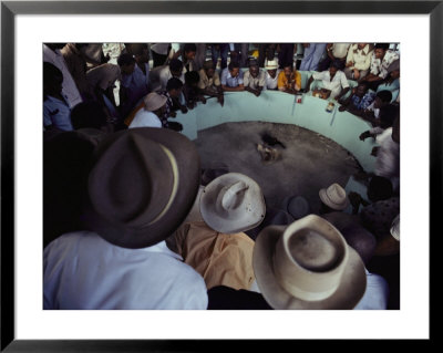 An Audience Gathered Round A Ring To Watch A Cock Fight by Jodi Cobb Pricing Limited Edition Print image