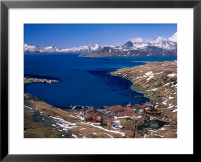 The Now Abandoned Grytviken Whaling Station In King Edward Point, Antarctica by Grant Dixon Pricing Limited Edition Print image