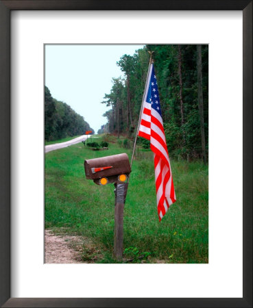 American Flag On Rural Mailbox, North Florida by Pat Canova Pricing Limited Edition Print image